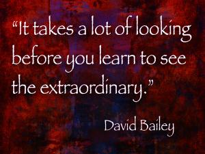 Bailey Looking Sunday Art Photography Quote June 16